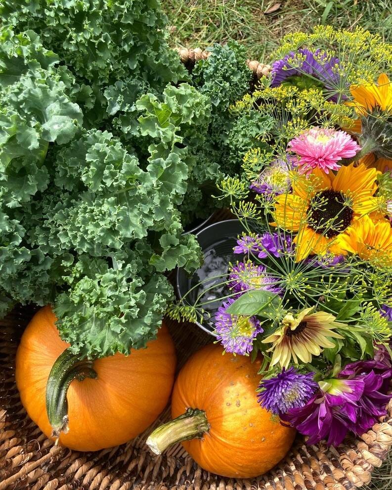 Organic fall flowers and produce. Eganville Farmers
